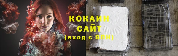 трава Арсеньев