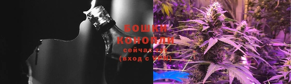 ГАЛЛЮЦИНОГЕННЫЕ ГРИБЫ Алексин