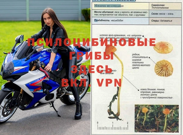 ALPHA-PVP Алзамай