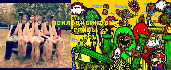 трава Арсеньев