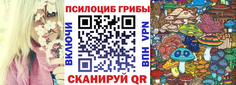 сколько стоит  мега вход  Псилоцибиновые грибы Psilocybine cubensis  Нарткала 